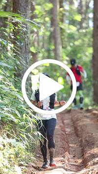 BIB:  <button type="button" onclick="openModal(26569630)" class="btn btn-primary btn-sm float-right" data-toggle="modal" data-target=".modal-high-quality">
                <i class="fa fa-download"></i> Download
                </button>